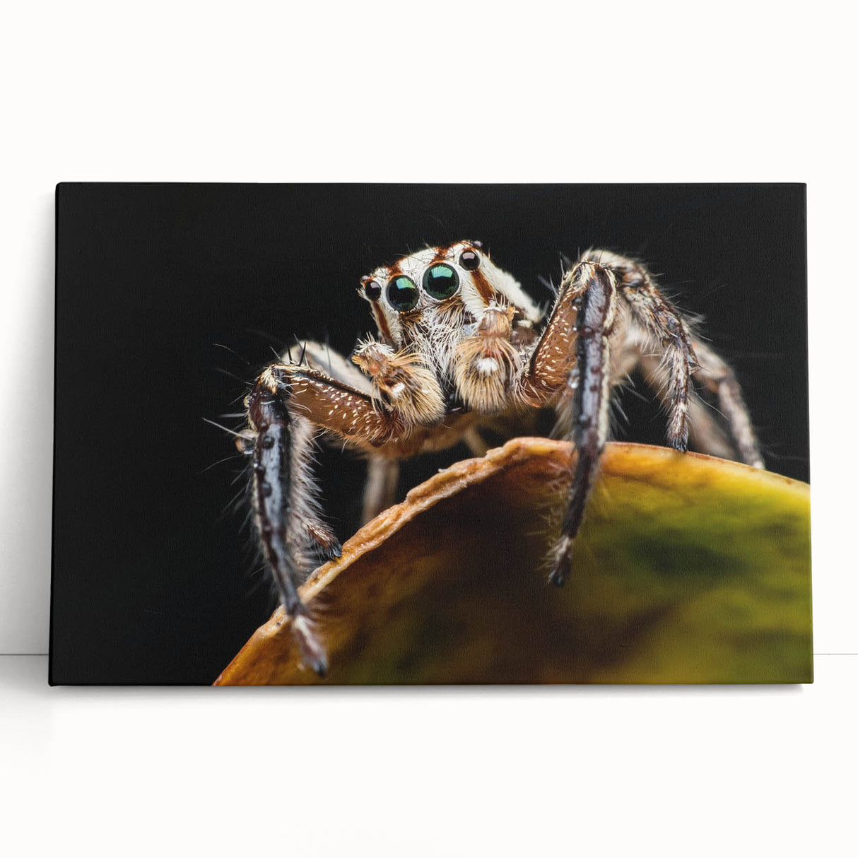 Vibrant close-up of a painted insect illustration showcasing intricate details and vivid colors, perfect for nature lovers or educational use in art projects.
