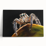 Vibrant close-up of a painted insect illustration showcasing intricate details and vivid colors, perfect for nature lovers or educational use in art projects.