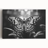 Close-up of a detailed insect illustration showcasing vibrant colors and intricate patterns, ideal for educational use or nature-themed decor.