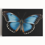 Close-up of a vibrant insect illustration showcasing detailed wings and intricate patterns on a textured background, ideal for nature-themed decor.