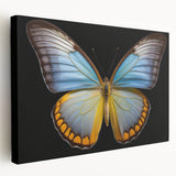 Vibrant insect illustration showcasing detailed features of a colorful butterfly perched on a flower, with intricate wing patterns and vivid colors against a soft background.