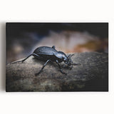 Close-up of a vibrant insect illustration showcasing intricate details and vivid colors, perfect for nature enthusiasts and art collectors. Ideal for home decor or educational use.