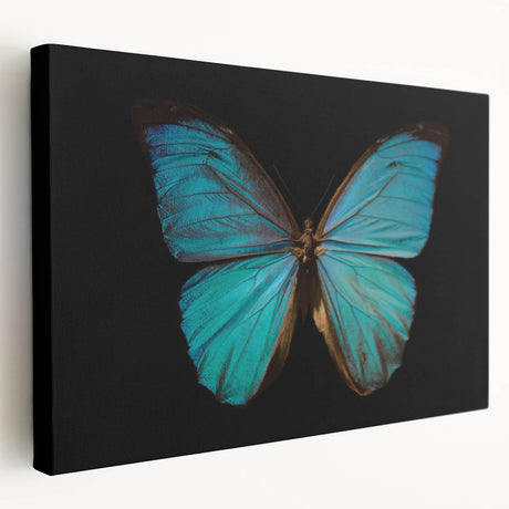 Detailed close-up of a vibrant insect illustration featuring intricate patterns and colors, ideal for nature enthusiasts and art lovers seeking unique decor.