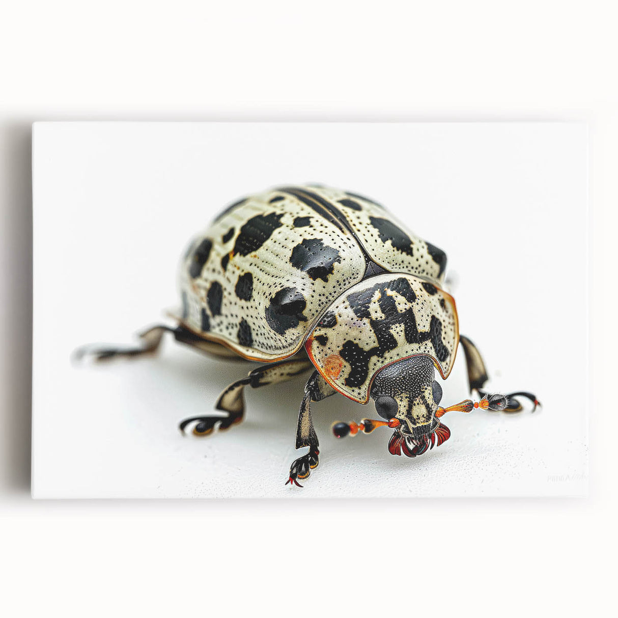 Close-up of a vibrant insect-themed wall art print featuring intricate details and vivid colors, showcasing nature's beauty on a textured canvas. Ideal for home decor.
