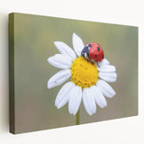 Vibrant close-up of a detailed insect illustration showcasing intricate patterns and colors, ideal for educational purposes or nature-themed decor.