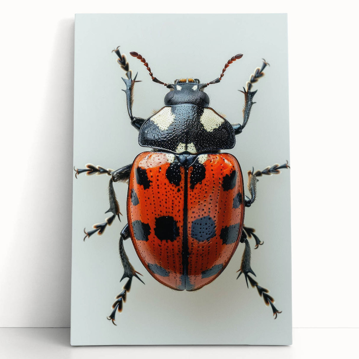 Colorful insect illustration showcasing a detailed butterfly with intricate wing patterns, surrounded by vibrant floral elements, ideal for nature-themed decor.