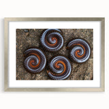 Textured art depicting abstract shapes in muted earth tones on canvas, suitable for bedroom wall decor.