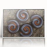 Art deco poster featuring a serene nature scene in muted green and blue tones on canvas, suitable for nursery wall decor.