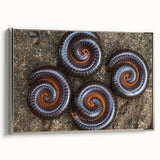 Landscape art painting of a colorful forest on a vintage poster, ideal for enhancing black wall art in a living room.