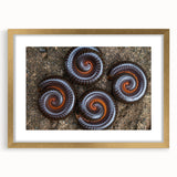 Extra large abstract art print featuring textured swirls in muted earth tones on canvas, ideal for living room decor.