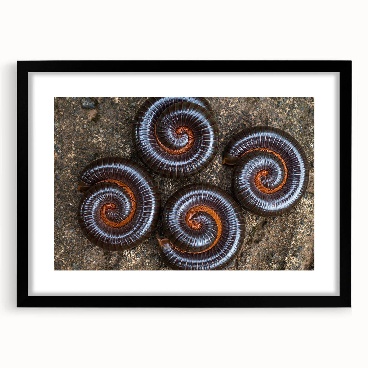 Extra large abstract art print featuring vivid, colorful swirls on textured canvas.