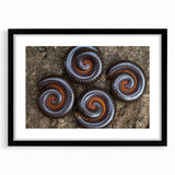 Extra large abstract art print featuring vivid, colorful swirls on textured canvas.