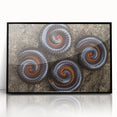 Large abstract wall art featuring swirling patterns in earthy brown and beige tones on canvas.
