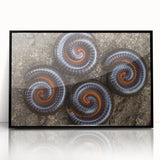 Large abstract wall art featuring swirling patterns in earthy brown and beige tones on canvas.