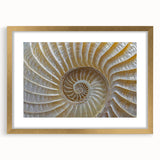Extra large abstract art print featuring textured swirls in earthy tones on canvas, ideal for living room decor.