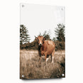Farm Cow in Field Wall Art | Rustic Farmhouse Decor for Country Homes