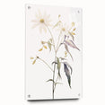 Abstract minimalist wall art collection displayed in a side view, showcasing acrylic and glass materials with decorative pins, perfect for modern home decor.