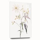 Abstract minimalist wall art collection displayed in a stylish acrylic glass frame, showcasing a modern side view with soft color gradients for a contemporary aesthetic.