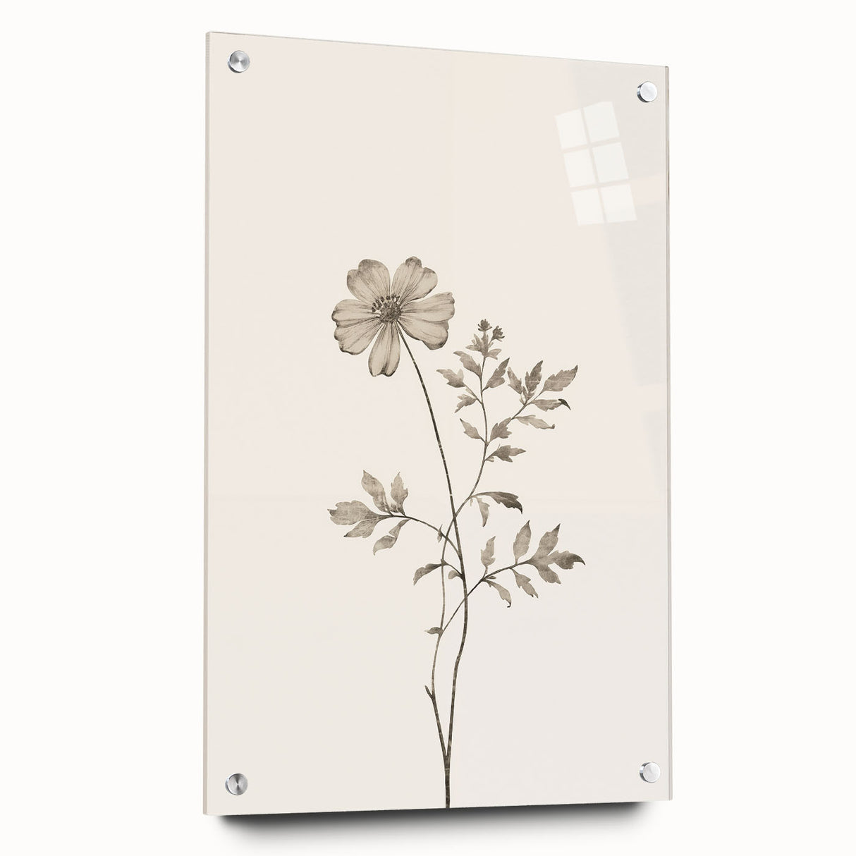Abstract minimalist wall art collection displayed in a side view, featuring acrylic glass framing and decorative pins, ideal for modern home decor.