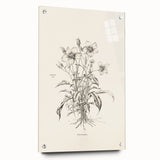 Abstract minimalist wall art design collection displayed in a side view, showcasing acrylic glass material and visible mounting pins, perfect for modern decor.