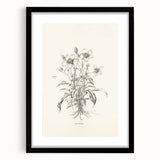 Abstract minimalist wall art design framed in black with a mat, showcasing a modern aesthetic perfect for contemporary home decor. Ideal for living rooms and offices.