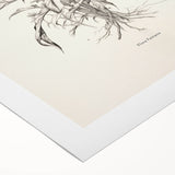 Abstract minimalist wall art featuring soft pastel colors and geometric shapes on rolled canvas, ideal for modern home decor, packaged securely in a cardboard tube.