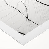 Rolled canvas showcasing a vibrant abstract minimalist design with bold colors and geometric shapes, ideal for modern home decor and art enthusiasts.