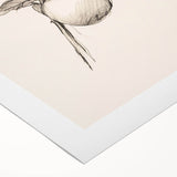 Abstract minimalist wall art design featuring soft pastel colors and geometric shapes on rolled canvas, perfect for modern home decor. Ideal for adding a contemporary touch to any space.