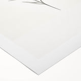 Abstract minimalist wall art print on rolled canvas showcasing soft pastel colors and geometric shapes, ideal for modern home decor.