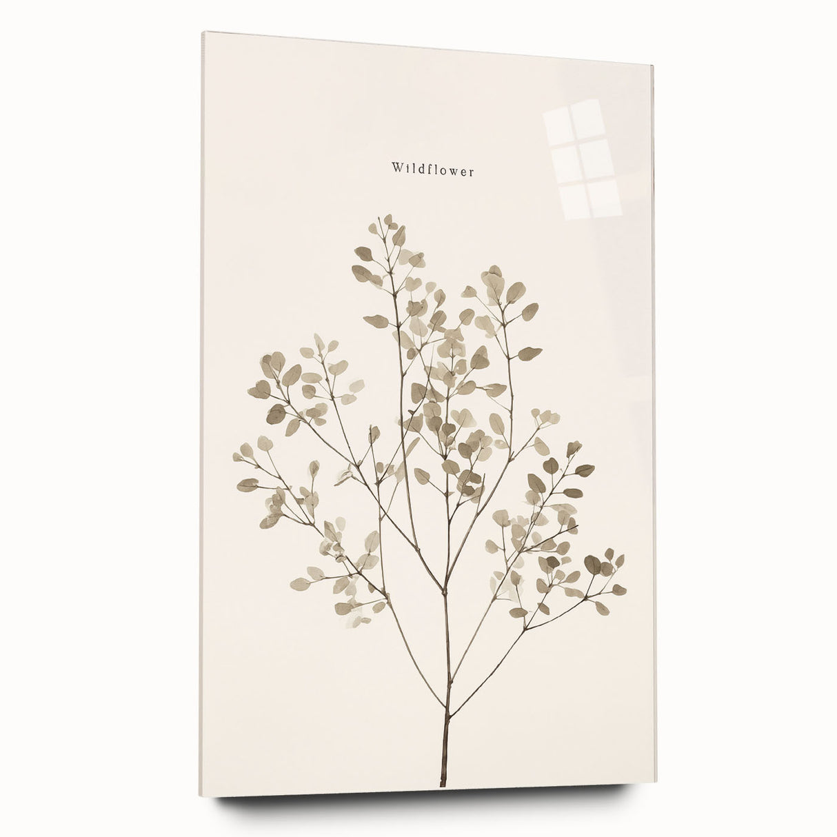 Abstract minimalist wall art collection displayed in a sleek acrylic frame, showcasing geometric patterns in soft pastel colors against a neutral backdrop, perfect for modern home decor.