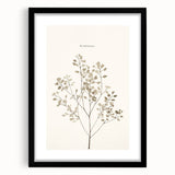 Minimalist wall art collection featuring abstract geometric designs in muted colors, framed with a sleek black mat for modern decor.