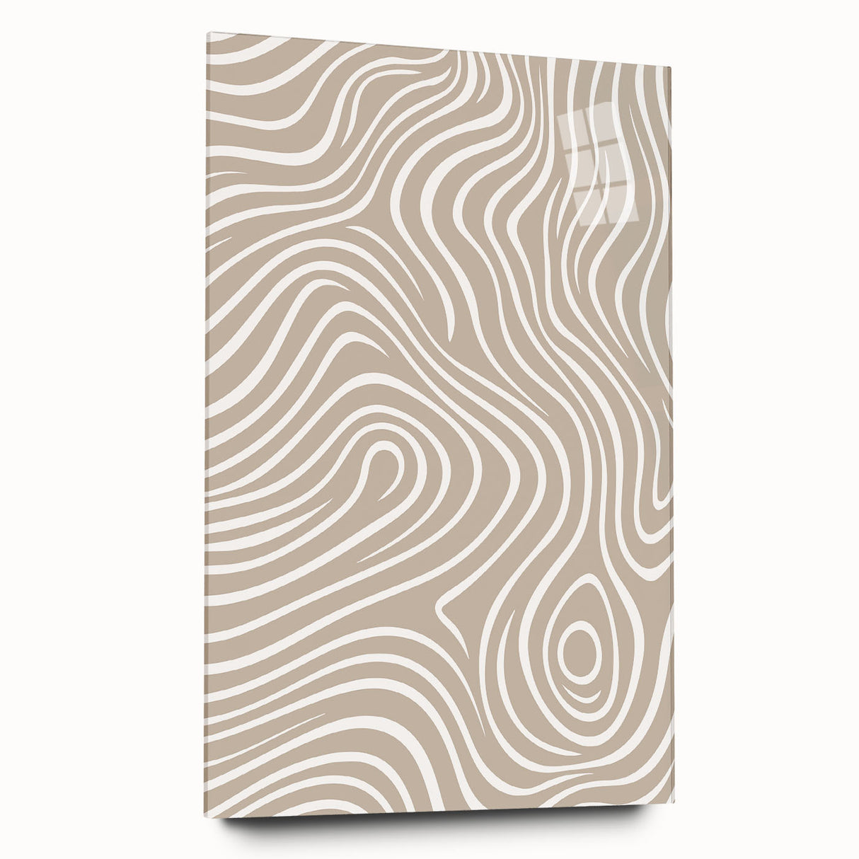 Abstract minimalist wall art collection displayed in acrylic glass, showcasing geometric shapes and soft color tones in a modern setting.
