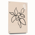 Abstract minimalist wall art collection displayed in acrylic glass, showcasing geometric shapes and neutral tones, perfect for modern decor.