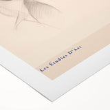 Abstract minimalist wall art collection on rolled canvas, showcasing soft pastel colors and geometric shapes, perfect for modern decor.