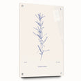 Acrylic glass wall art collection showcasing an abstract minimalist design with vibrant colors and unique patterns, mounted with decorative pins.