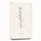 Acrylic glass wall art collection showcasing an abstract minimalist design with vibrant colors and unique patterns, mounted with decorative pins.