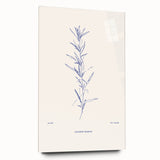Abstract minimalist wall art collection displayed in a sleek acrylic glass frame, showcasing elegant design with subtle colors and clean lines.