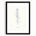 Framed abstract minimalist wall art design in black and white, showcasing geometric shapes and lines against a sleek mat background, perfect for modern decor.