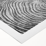 Abstract wall art design featuring vibrant strokes and lines in various colors on rolled canvas, ideal for modern home decor or artistic displays.