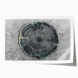 Abstract wall art design showcasing vibrant strokes and lines in a colorful composition, ideal for modern decor and framing options.