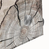 Colorful abstract strokes and lines design on acrylic glass, showcasing a vibrant wall art piece. Perfect for modern decor in living spaces or offices.