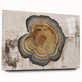 Acrylic glass wall art showcasing an abstract design of colorful strokes and lines, elegantly displayed with pins on a textured surface, ideal for modern decor.