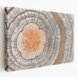 Abstract wall art featuring vibrant strokes and lines in bold colors on stretched canvas, showcasing a modern design ideal for contemporary decor.