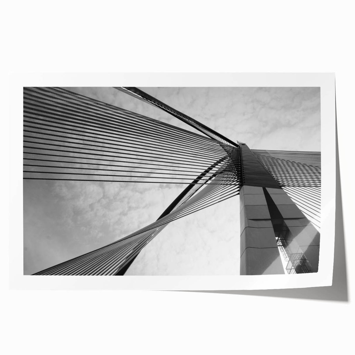 Abstract floral architecture in cool grays and whites on a large rolled canvas, suitable for art wall dining room.