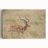 Stretched canvas wall art showcasing a vibrant antelope design, featuring intricate details and earthy colors, ideal for enhancing home decor with a wildlife theme.