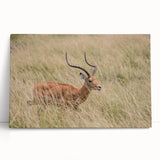 Stretched canvas wall art showcasing a vibrant antelope design, featuring earthy tones and intricate patterns, perfect for enhancing home decor with a wild aesthetic.