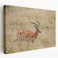 Stretched canvas wall art showcasing a side view of an antelope in a natural setting, featuring earthy tones and intricate details, perfect for wildlife enthusiasts.
