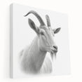 Stretched canvas artwork showcasing a vibrant side view of an antelope in a wild landscape, ideal for animal lovers and home décor enthusiasts.