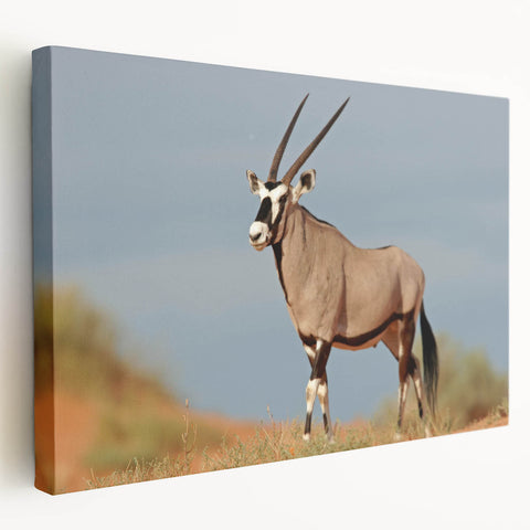 Stretched canvas wall art showcasing a side view of a graceful antelope, featuring vibrant colors and intricate details, perfect for wildlife enthusiasts and home decor.