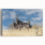 Stretched canvas wall art showcasing a vibrant antelope design, capturing intricate details and bold colors, perfect for enhancing wildlife-themed decor.